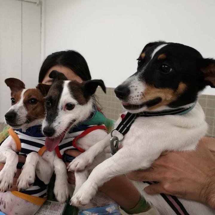 C65bc6f5 1570 455d a9fa dac0fd481bbf 1532868634396