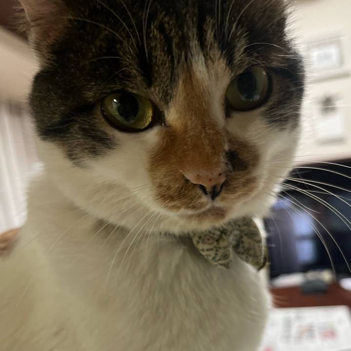 C65bc83d fc74 449e 8c8c a800eeda90f5 1769576828502