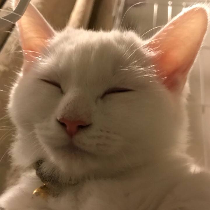 C65bfa7a c01d 4536 85ad 8418f43ab89a 1509114411162