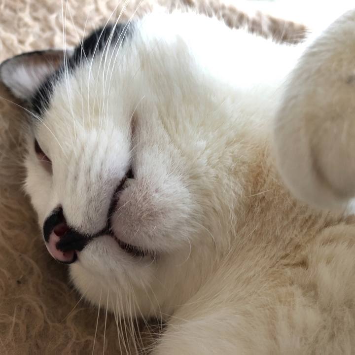 C65c15e4 fae1 4873 b711 b24749c1c700 1548719995392