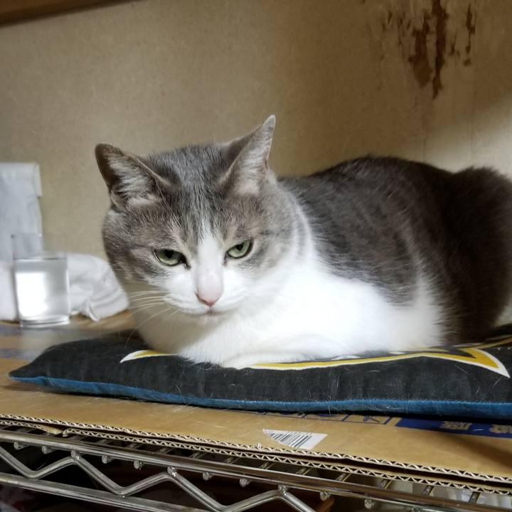 C65c403e ef16 4304 a350 a25b0a11fdc3 1618670226928