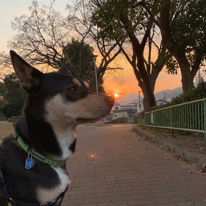 C65c6967 2a4e 4ee7 aaff c3a53f9561f3 1548241611589