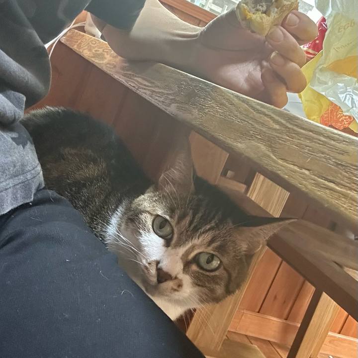 C65ca70b f8e8 49ca 921c 9088bec23a10 1683250333372