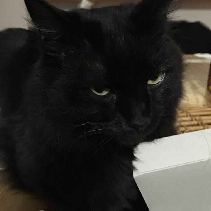 C65ca85c 6352 4c37 b6de 255048fb2ca0 1522060806406