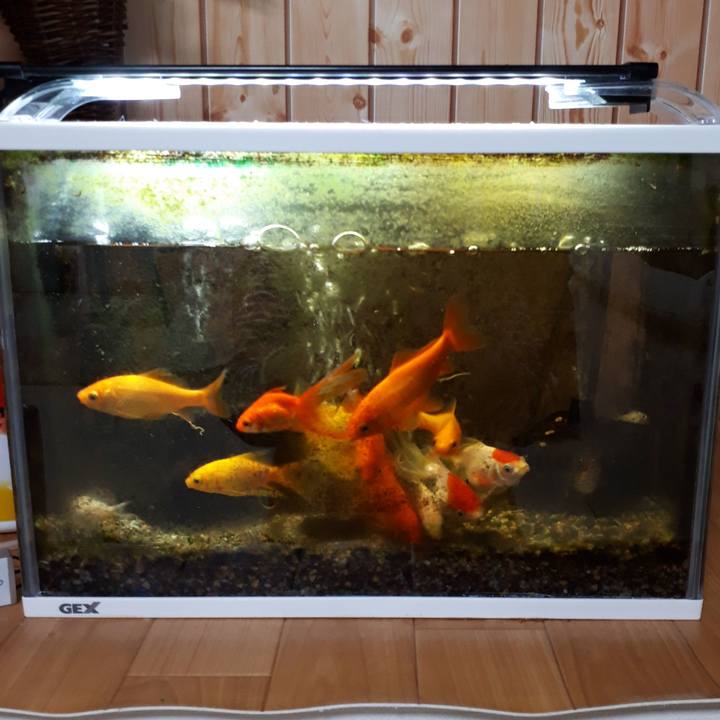 C65d0c48 03dc 4d09 9eed c6acbcb15ac9 1518382832531