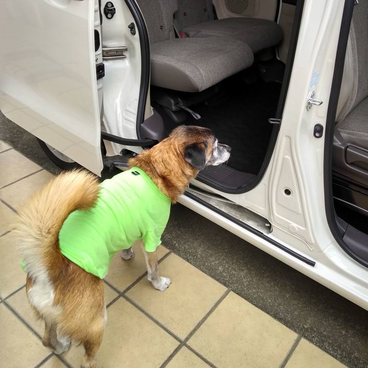 C65d29a0 2c5a 4117 ac8d 0d2a6f765aa0 1571884964221