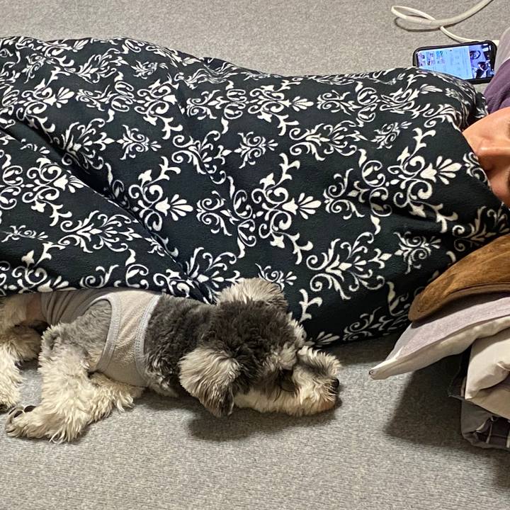 C65d3ab9 5787 4659 9b0c 53bab65bf934 1581416567852