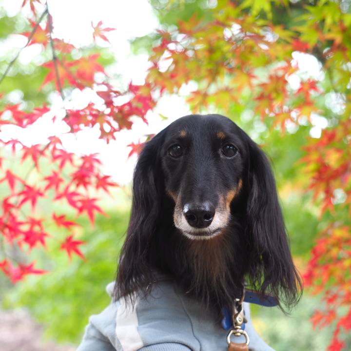 C65d3c2c 6c64 403d bdd6 caf0f1689e6a 1731561186724