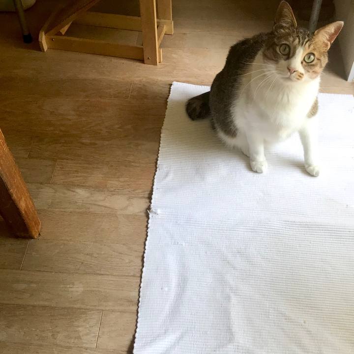 C65d733d 928d 416b aa8e 059f2cd11821 1525063268245