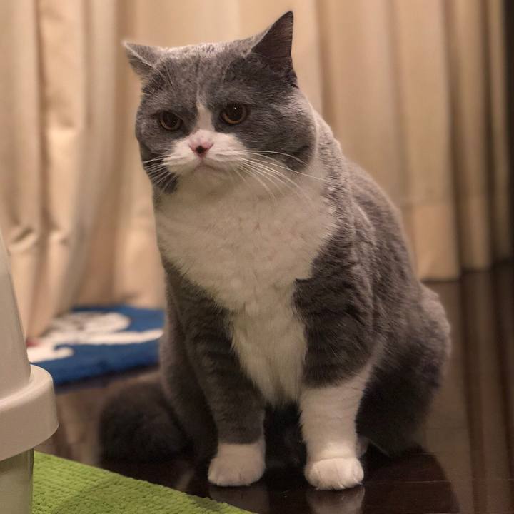 C65d76f3 13f6 4450 9cc4 673b45ffe71c 1516224123469