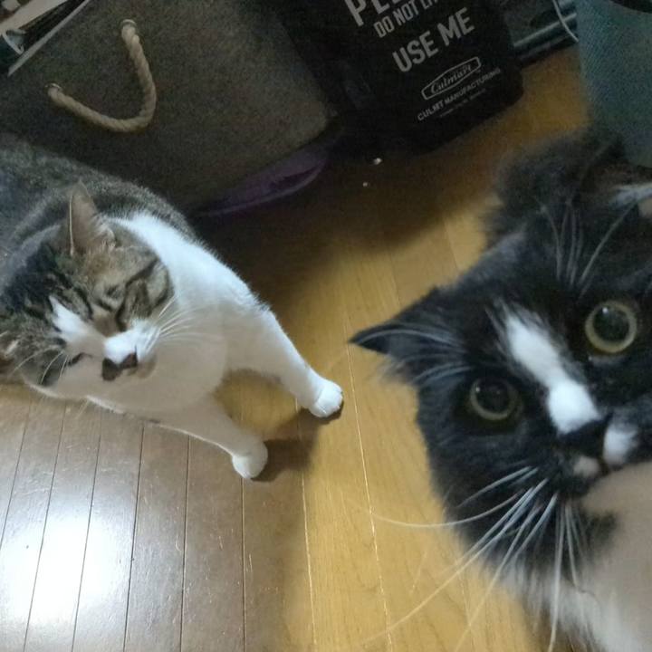 C65d99fb 3960 4c15 898f 9812d6d64ca0 1752182635646