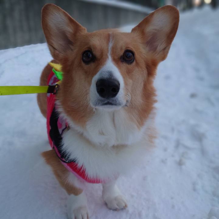 C65e1f63 200d 4060 bb85 f3b7ffefb83c 1767656018735