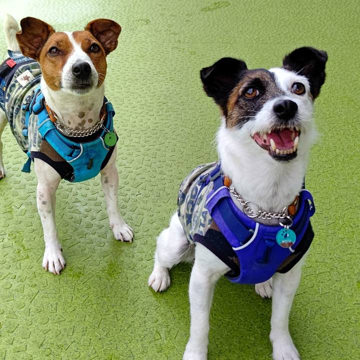 C65e6c6c e154 41fc 90b4 ff8eaea03eb4 1621388093311