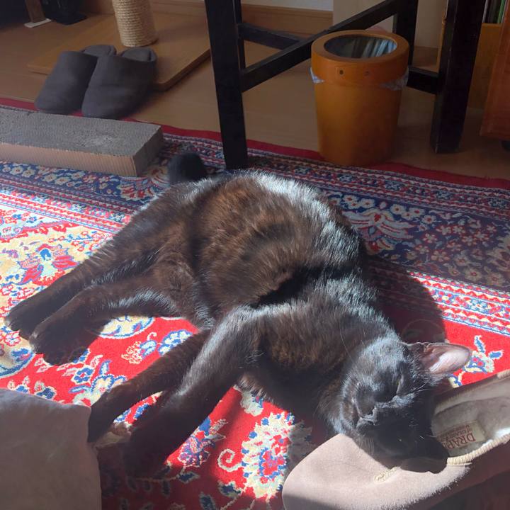 C65e7f8d 58be 4831 a157 cf55a0d9b47f 1550895756369