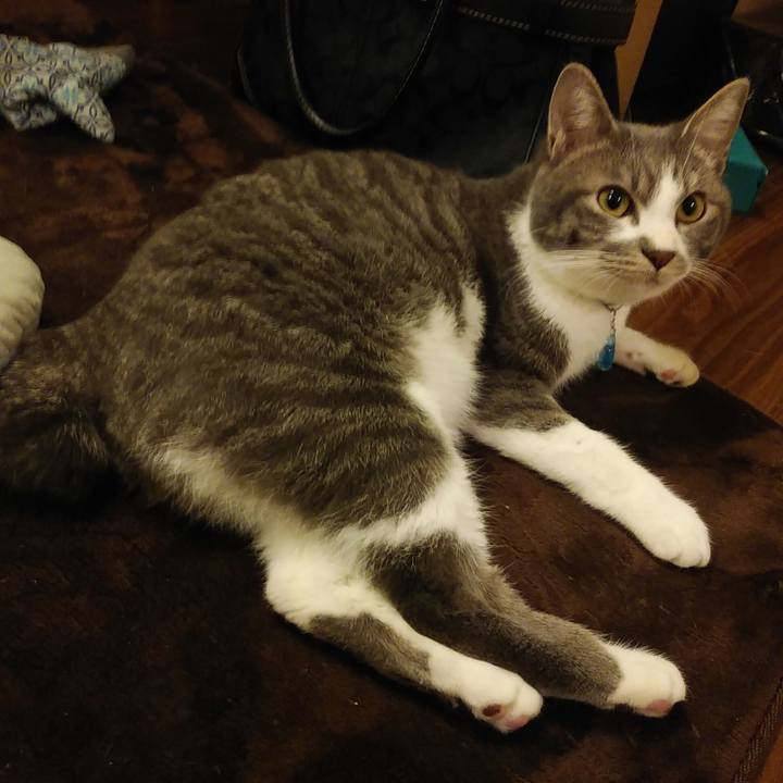 C65ebaff 180d 45e7 9b15 9d56c0591a8c 1581942595059