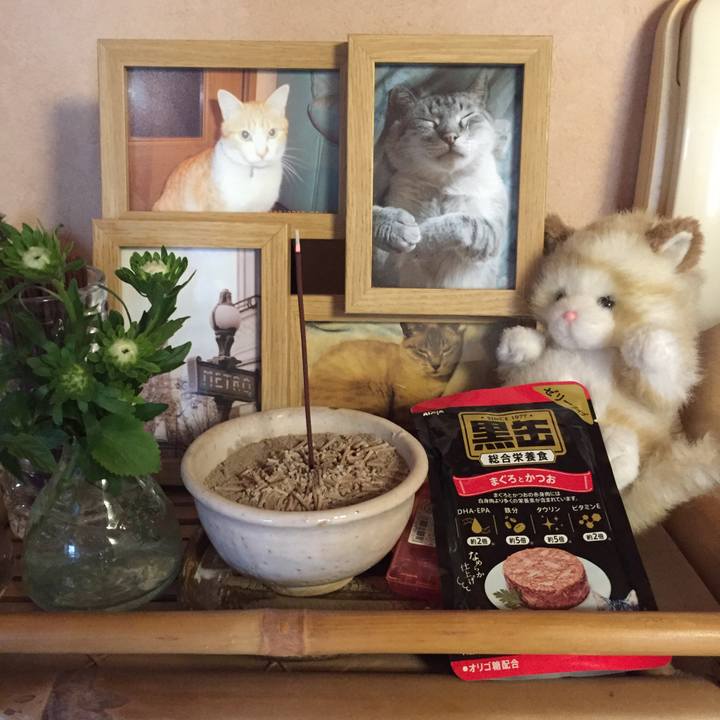 C65efc4b cc1f 424c 9c68 fe060cff82ce 1565734906789