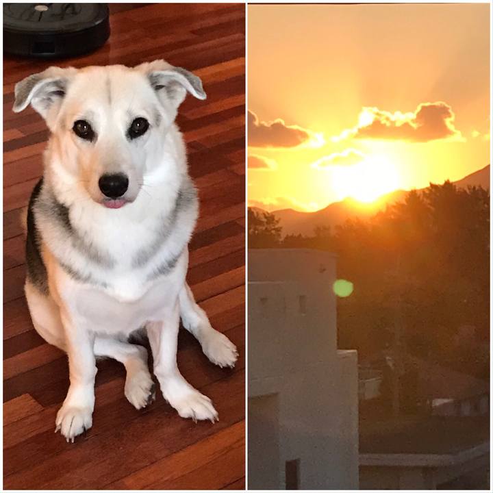 C65f6287 5314 4a3d bce0 7b09dffa25ac 1572132535177