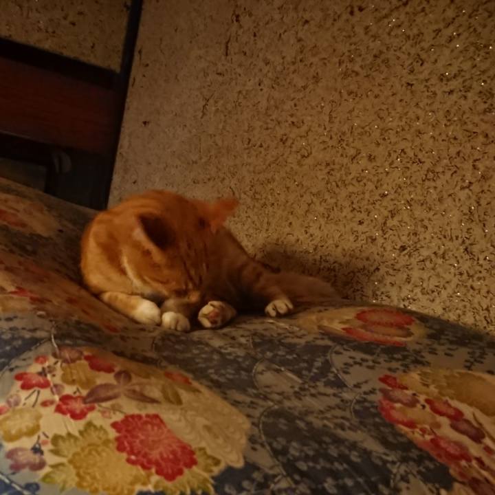 C65f6a99 543a 4527 ac7c abd37f256acf 1598445536712