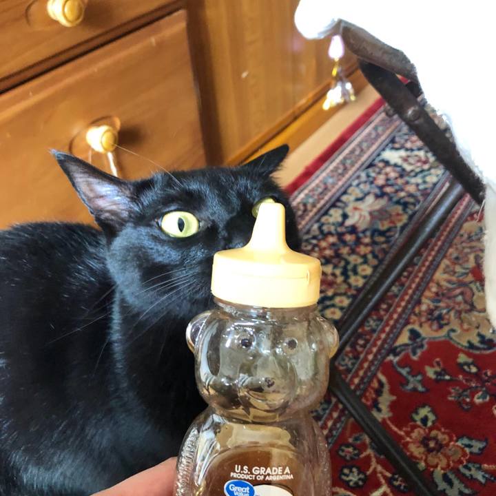 C65f91cc ee1d 4922 902f ba891bc4e18f 1555812618458