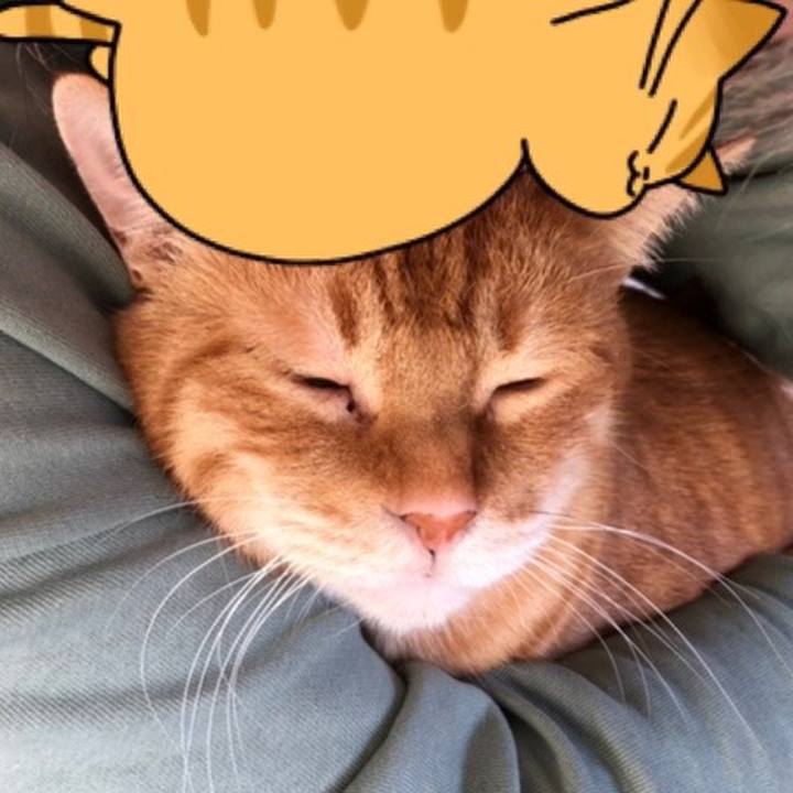 C65fdd22 fd1b 4e52 8220 5ab20466451e 1648939701126