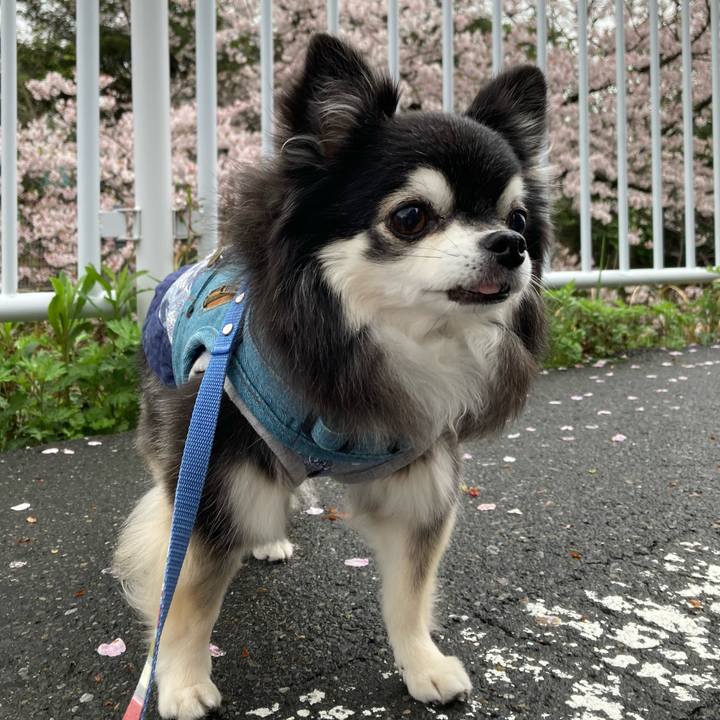 C6600e5e 35e6 4d94 b5fe 3df6e7bd95af 1775046560012