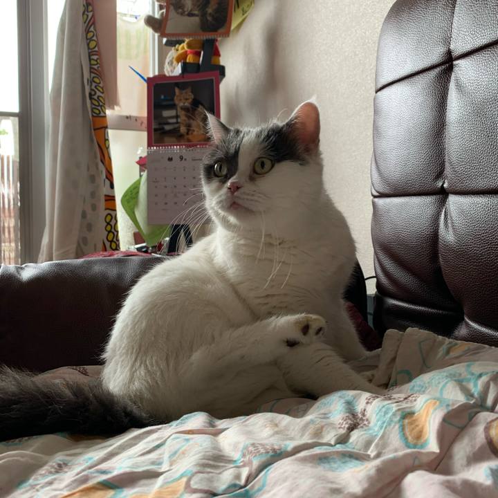 C66012ba 6037 413e b67e cee2306ffeec 1599964594783