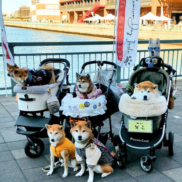 C6602d6b 1340 49dd b435 8e3a3f52b6bf 1767106044149