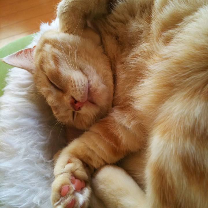 C6607396 9f04 4949 90b8 72fc3388c08b 1521351831988