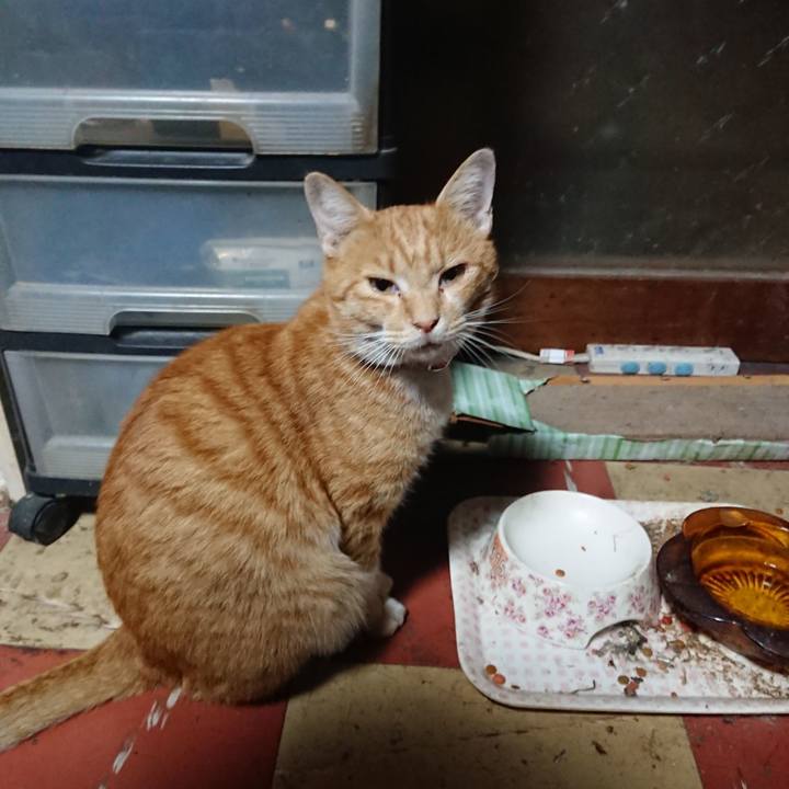 C6608f4b fca9 42e5 a94d 3dd3a88e3a6f 1570045793661