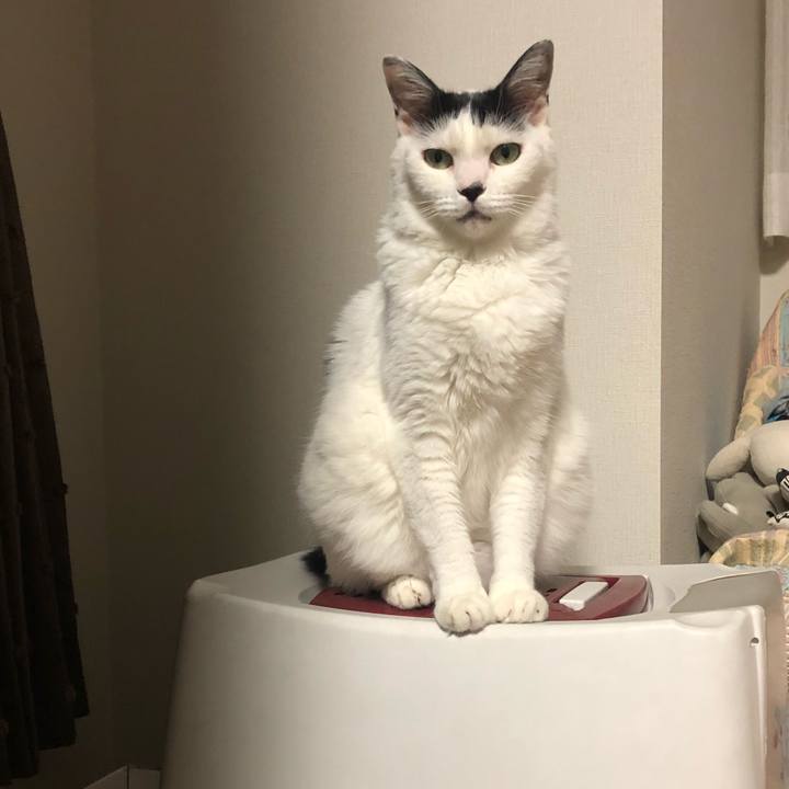 C660cb64 b9c7 4505 82af 5c076f0c1cc2 1601641700444