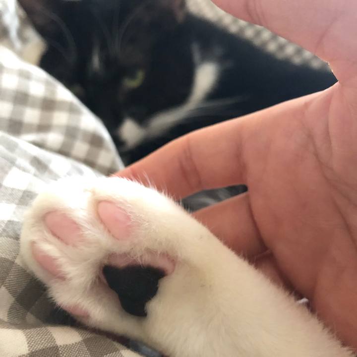 C660e770 6d3e 4932 88b1 deef911a3f84 1550682570067