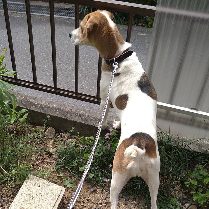 C661002f bb33 4250 9024 eec6a61dc6d7 1622006267829