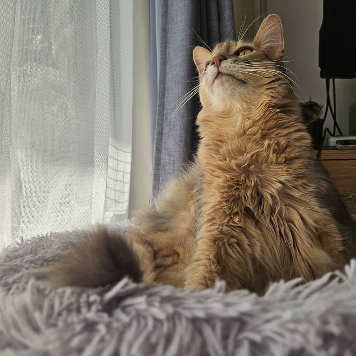 C6615bf6 49b4 4f42 993e 12cce01b83e5 1743829214865