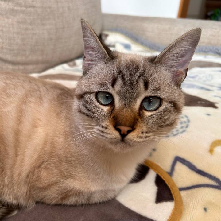 C66187a4 de7e 4d2b aee5 3d0ee45b55c6 1737617295789