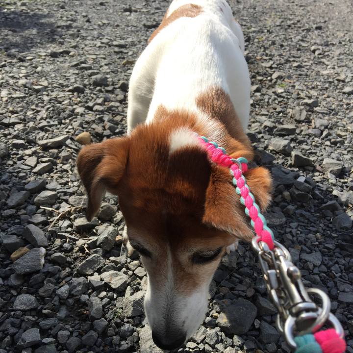 C661ae7a 10b8 4fbc a1a3 f434a1a54cdb 1525537822056