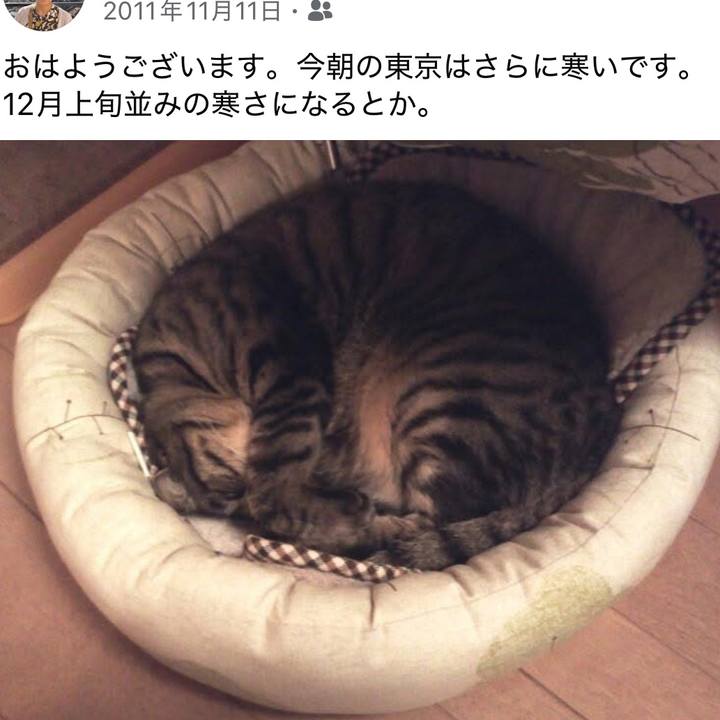 C661b156 bd70 44eb a661 3a92360aeb82 1762814866935