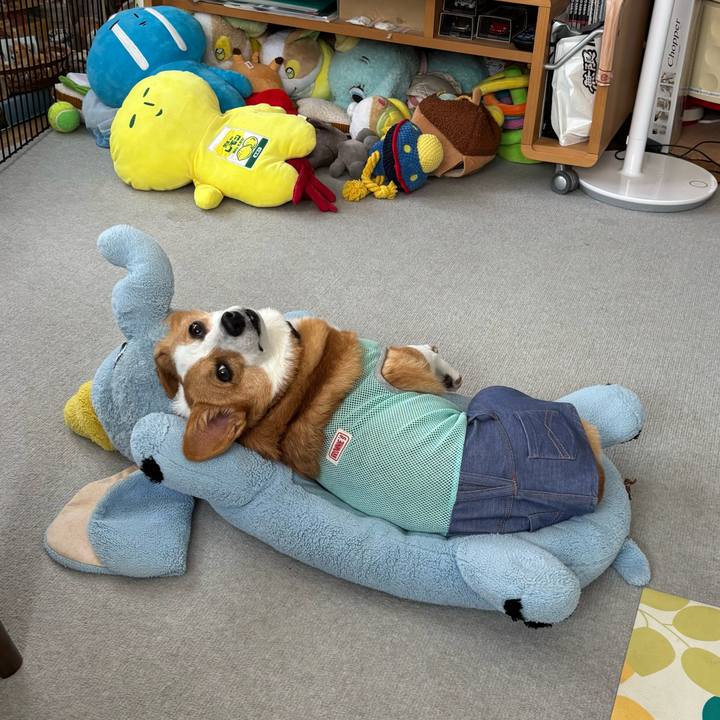 C661d9ad e8d3 47d2 84b2 d6376aad7027 1758674453996