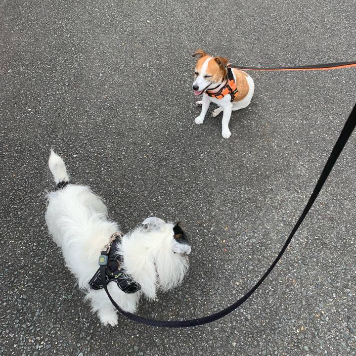 C661e4e7 4930 4da8 b737 7613eae2d725 1629589457563