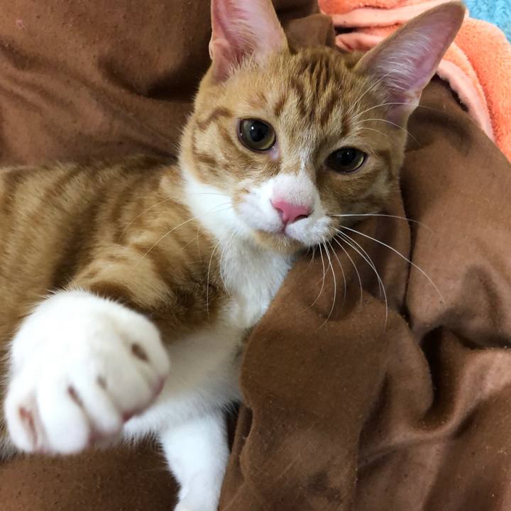 C661ee3e a2f1 45fc 8cb8 6bf96bbc1ff2 1549976611240