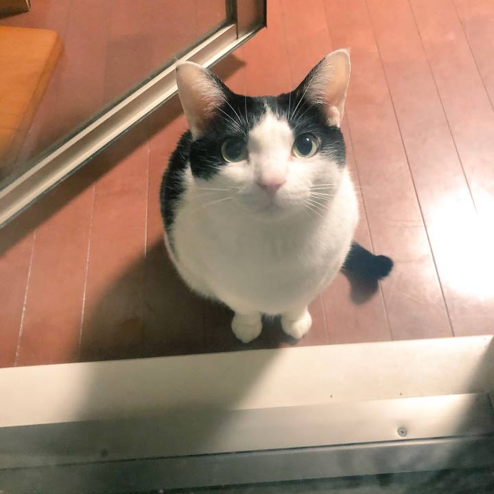 C662180d 844b 409f 8856 8971fe617f39 1544518153432