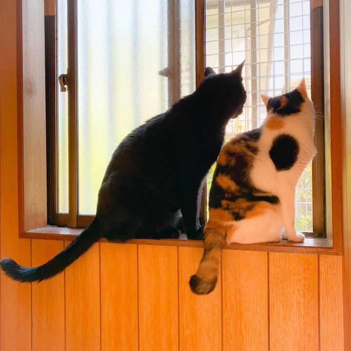 C6623306 8b1d 46bd a45c 894f80fe6b94 1560736909016