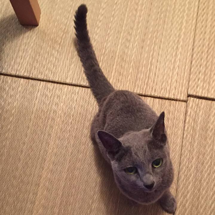 C6626eed 3df3 473e a304 087a57eaa4e3 1569109628142