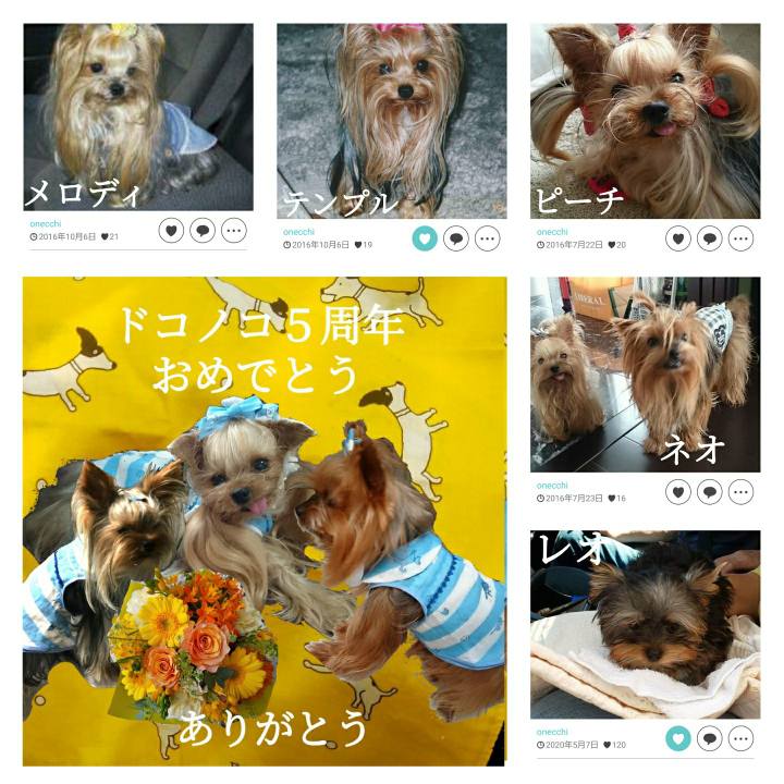 C662a0bb eb51 4524 8fd4 51ab391eb64c 1622819218369