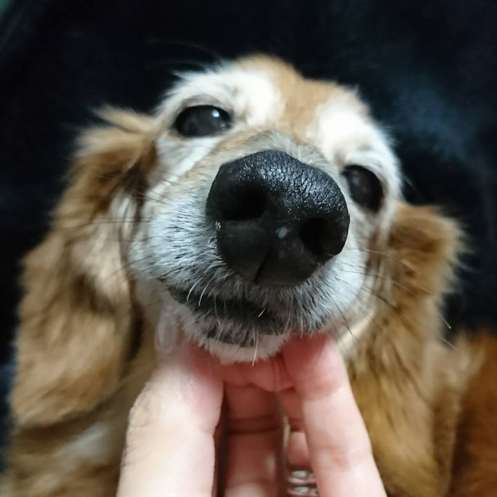 C662b8dc 37a1 4b52 b771 d4d47723f6bb 1511140399557