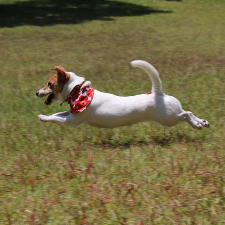 C662bcee 4f33 43f7 8ef3 eb5ffb52ea4e 1527937549639