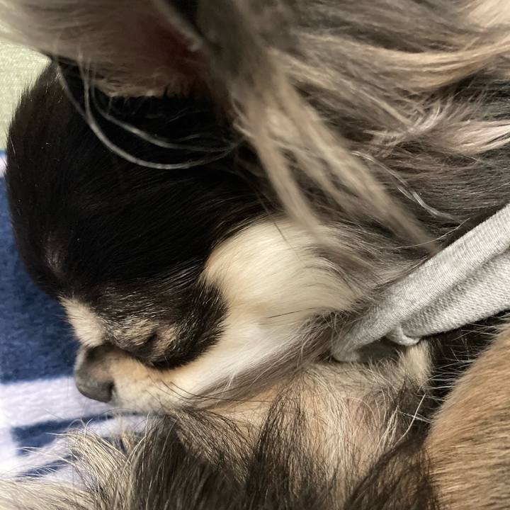 C662d495 0e75 44d0 b6cd 7ad52204c07c 1612708305113