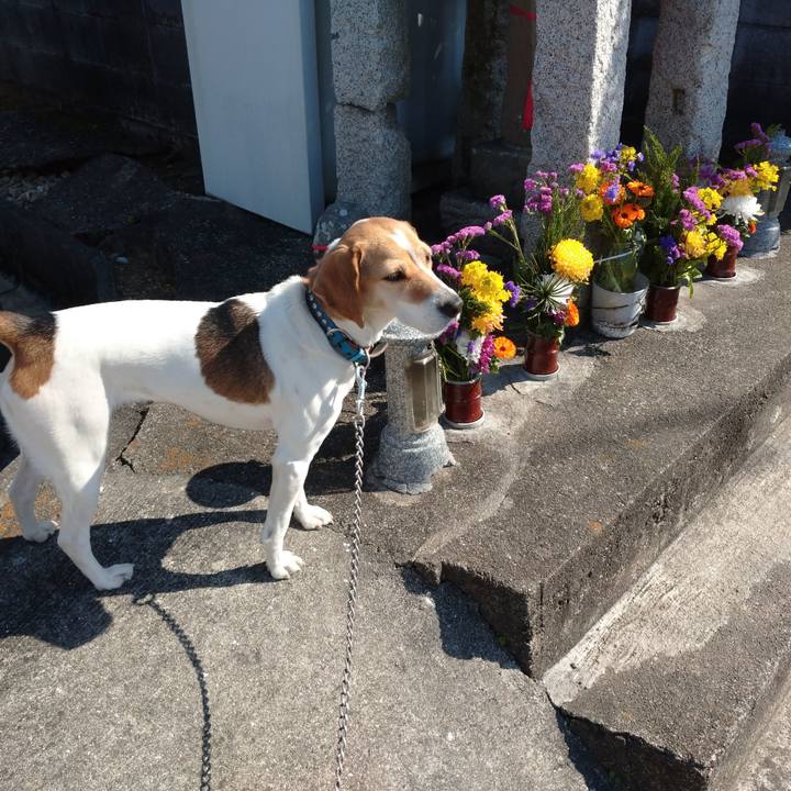 C6631183 09ad 4d4f 907f a04c41a40b67 1613972032459