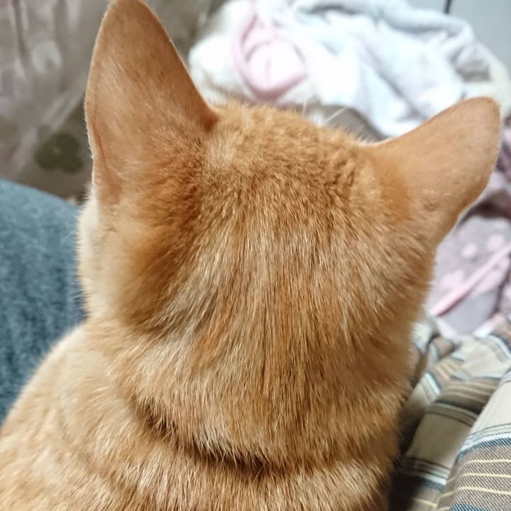 C66340e2 24eb 4260 a16d c3c0eee08bc8 1635589140243