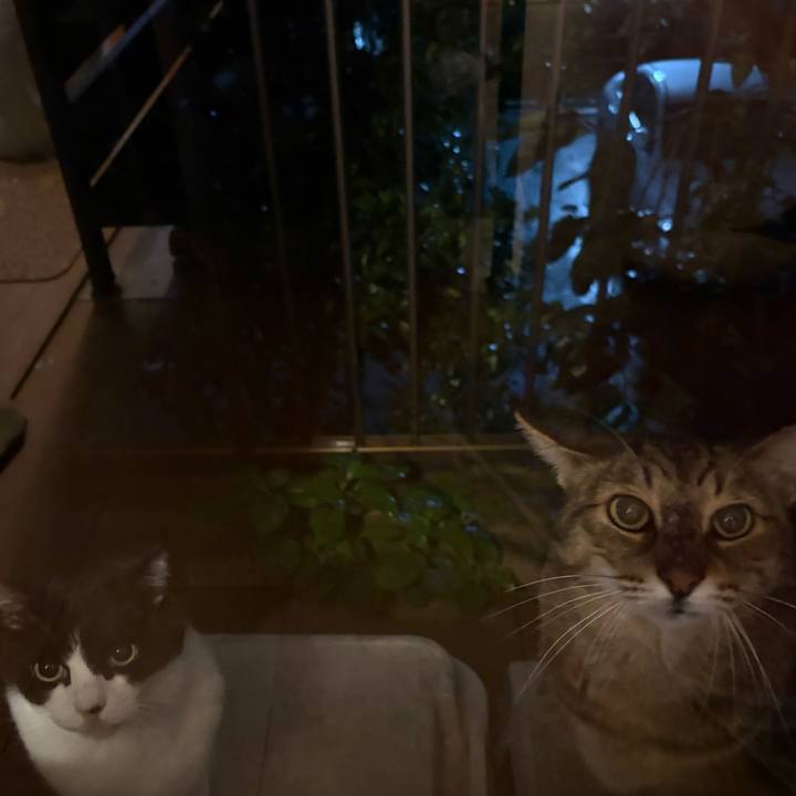 C6636e4d ef96 486f 99d8 5738b9a14082 1761132511553