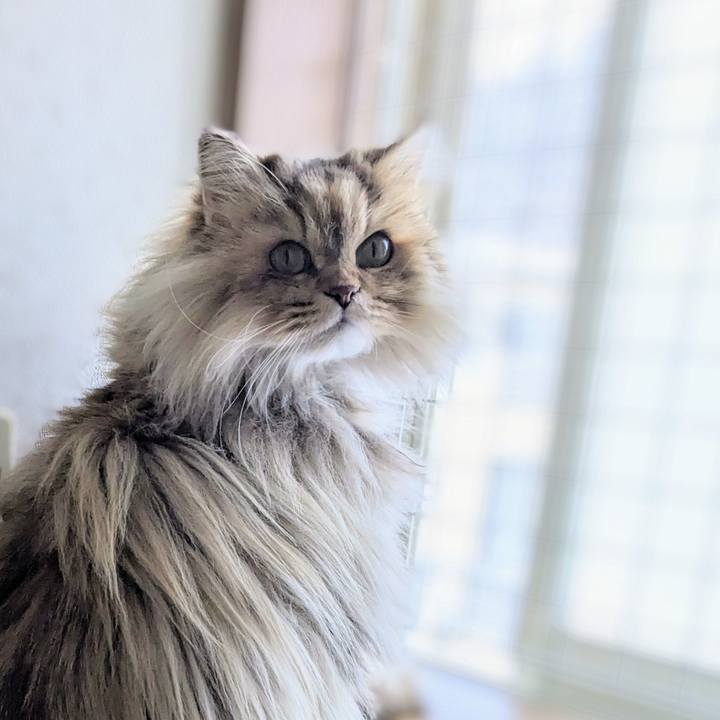 C6638749 7695 4769 87a6 255d90c99e37 1674625049847